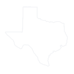 State of Texas with lone star